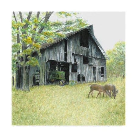 Carla Kurt 'Forgotten Barns' Canvas Art,14x14